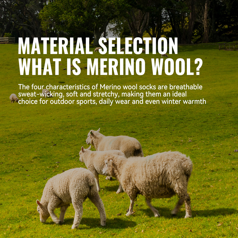 WRELS 1/2/3 Merino Wool Socks  - Thermal Sock Wool review and price